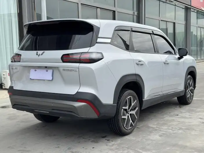 Xingguang 560 2026 Model 1.5T 6MT Comfort Model – фото 6