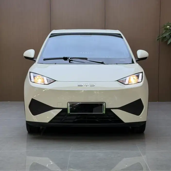 BYD Seagull 2025 Model 305KM Vitality Edition – фото 2