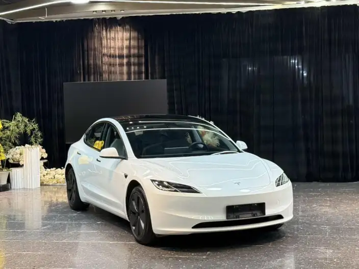 Model 3 2023 Model Rear-wheel drive version – фото 3