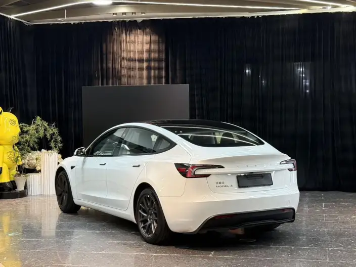 Model 3 2023 Model Rear-wheel drive version – фото 4