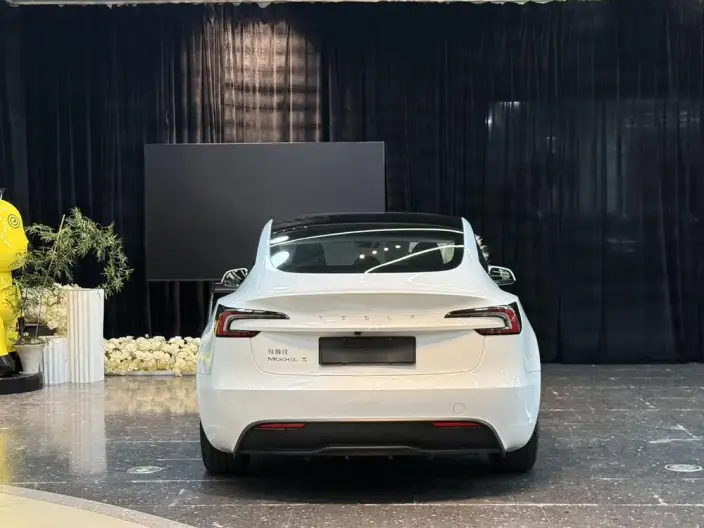 Model 3 2023 Model Rear-wheel drive version – фото 5