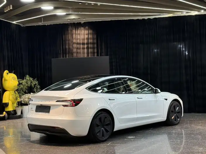 Model 3 2023 Model Rear-wheel drive version – фото 6