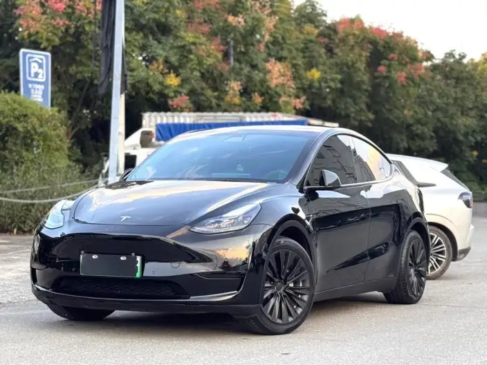 Model Y 2022 Model Facelift Rear-wheel drive version – фото 1