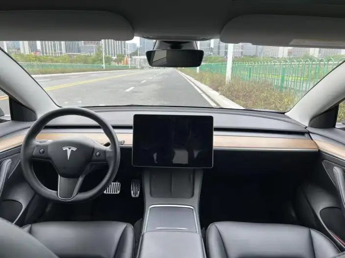 Model 3 2022 Model Rear-wheel drive version – фото 7