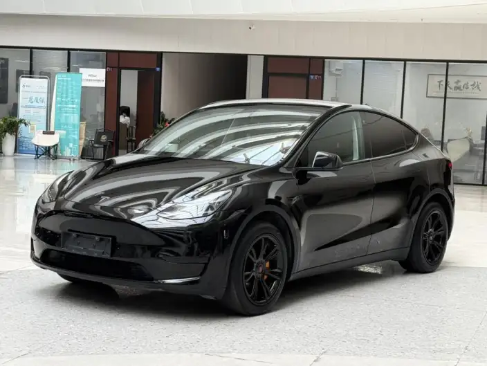 Model Y 2023 Model Rear-wheel drive version – фото 1