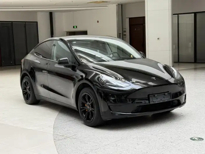 Model Y 2023 Model Rear-wheel drive version – фото 3