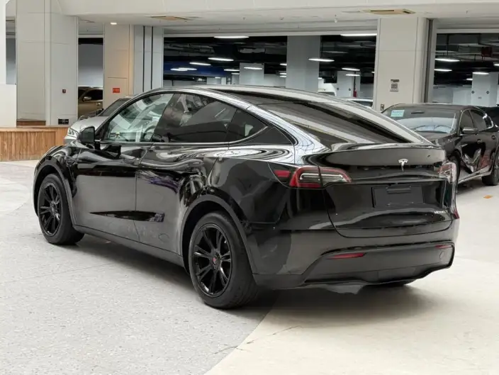 Model Y 2023 Model Rear-wheel drive version – фото 4