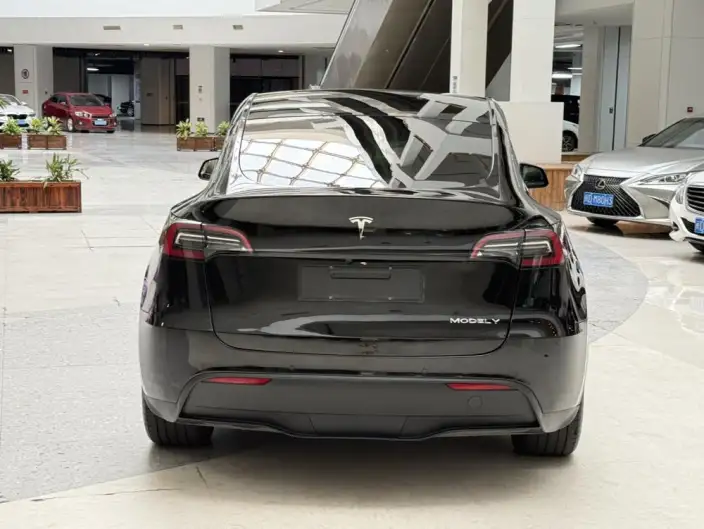 Model Y 2023 Model Rear-wheel drive version – фото 5