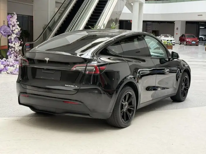 Model Y 2023 Model Rear-wheel drive version – фото 6