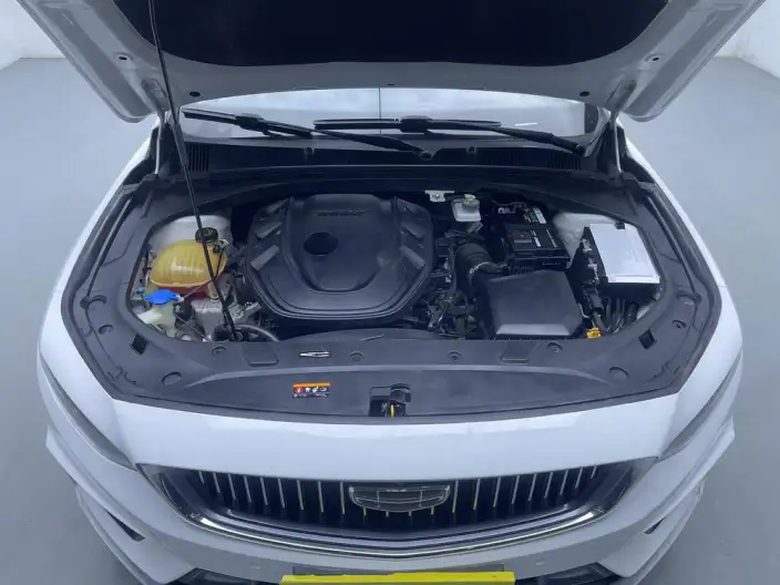 Geely StarRui 2021 Model 2.0T Noble Model – фото 10