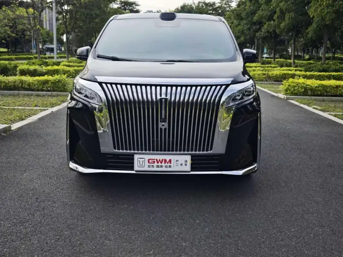Wey Gaoshan P HEV 2025 Model 4WD Wey Gaoshan 8 – фото 2