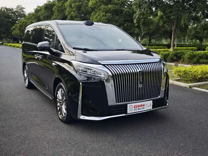 Wey Gaoshan P HEV 2025 Model 4WD Wey Gaoshan 8 – фото 3