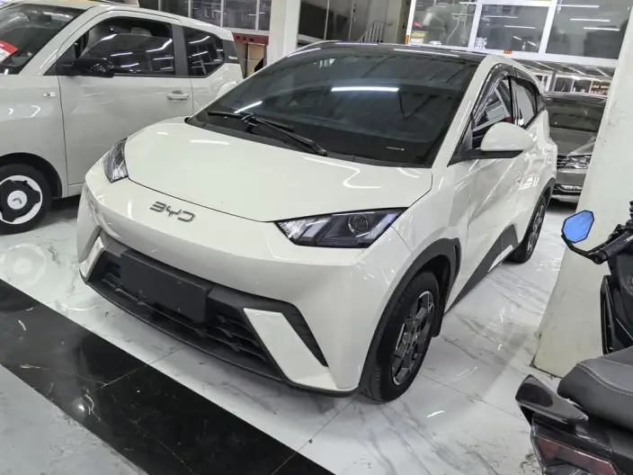 BYD Seagull 2024 Model Honor Edition 305KM Vitality Edition – фото 1