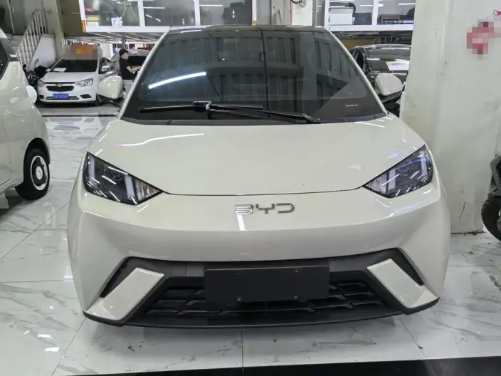 BYD Seagull 2024 Model Honor Edition 305KM Vitality Edition – фото 2