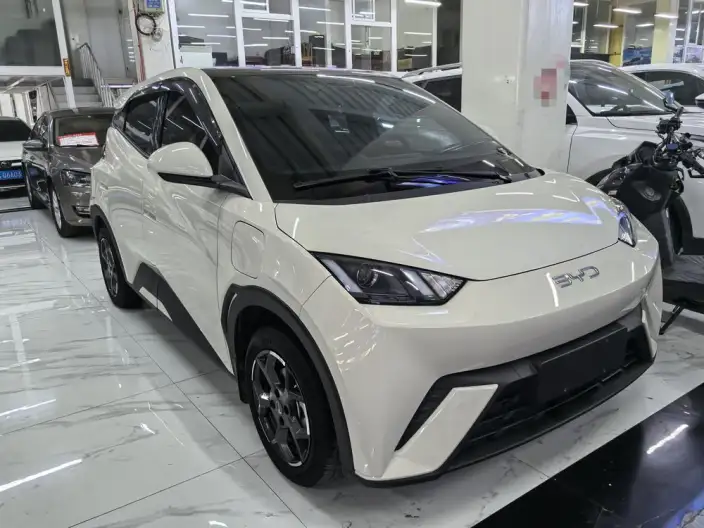 BYD Seagull 2024 Model Honor Edition 305KM Vitality Edition – фото 3