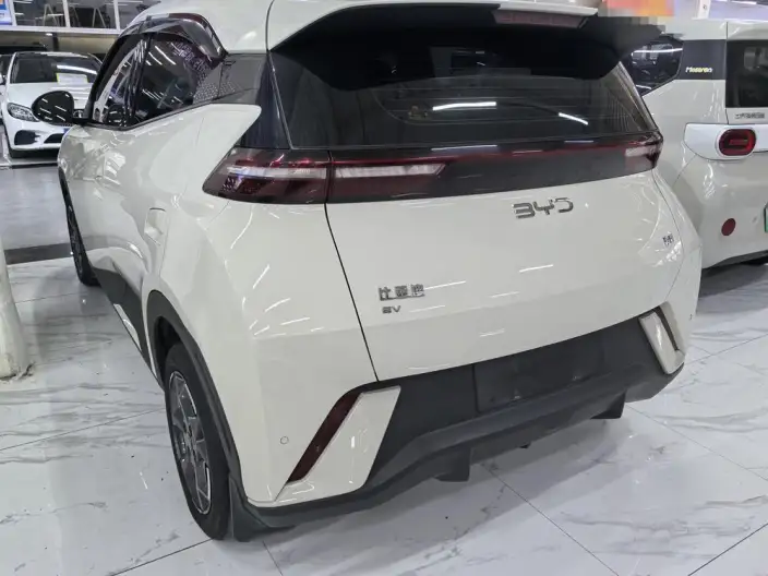 BYD Seagull 2024 Model Honor Edition 305KM Vitality Edition – фото 4
