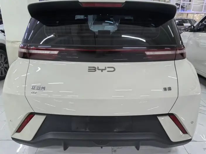 BYD Seagull 2024 Model Honor Edition 305KM Vitality Edition – фото 5