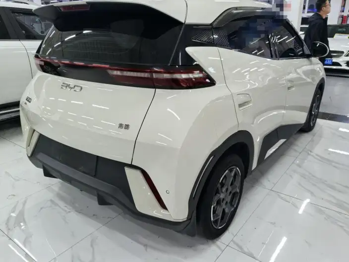 BYD Seagull 2024 Model Honor Edition 305KM Vitality Edition – фото 6