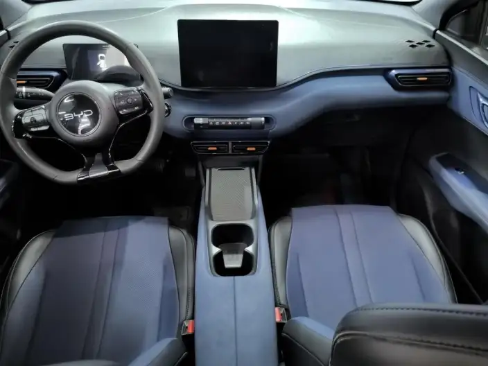 BYD Seagull 2024 Model Honor Edition 305KM Vitality Edition – фото 9