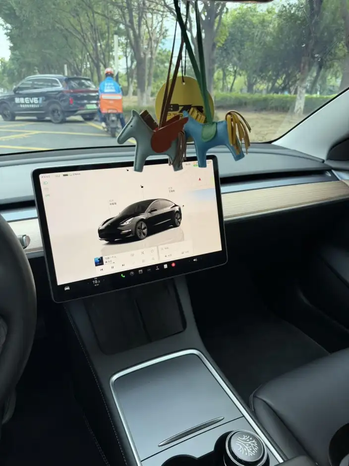 Model 3 2022 Model Rear-wheel drive version – фото 5