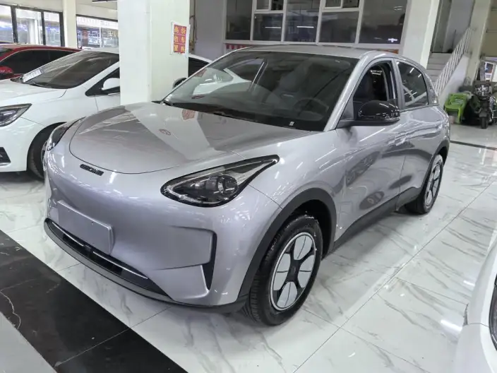 Geely Galaxy StarWish 2025 Model 310km Youth Edition – фото 1