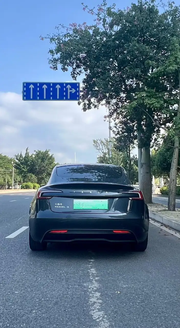 Model 3 2025 Model Rear-wheel drive version – фото 5