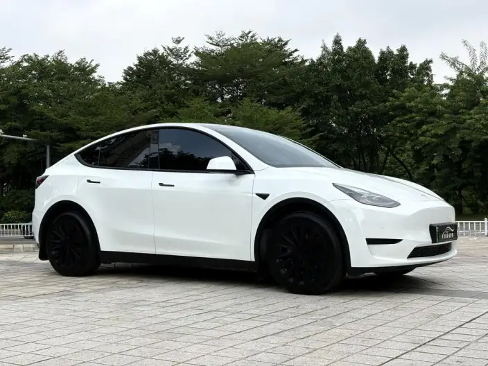 Model Y 2023 Model Rear-wheel drive version – фото 3