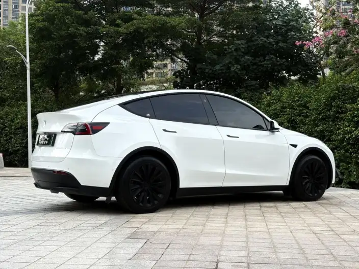 Model Y 2023 Model Rear-wheel drive version – фото 5