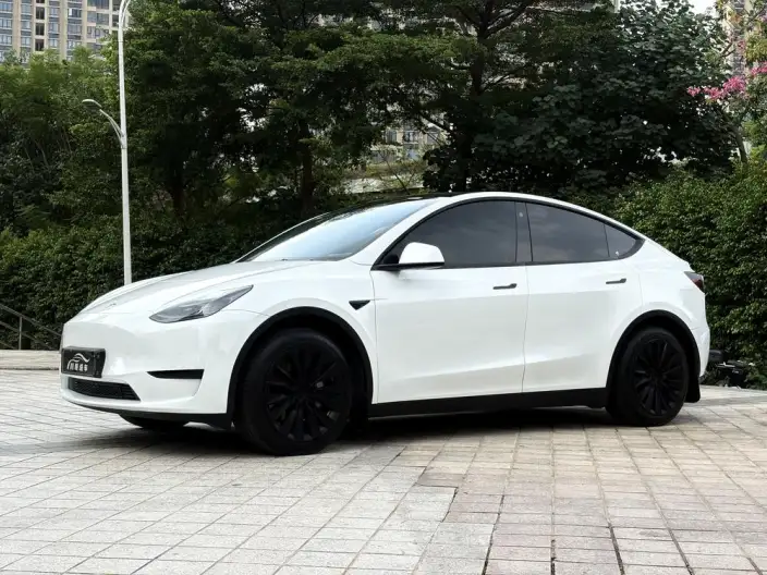 Model Y 2023 Model Rear-wheel drive version – фото 10