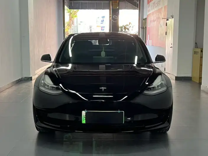 Model 3 2020 Model Standard Battery Life Rear Drive L Class Edition – фото 2