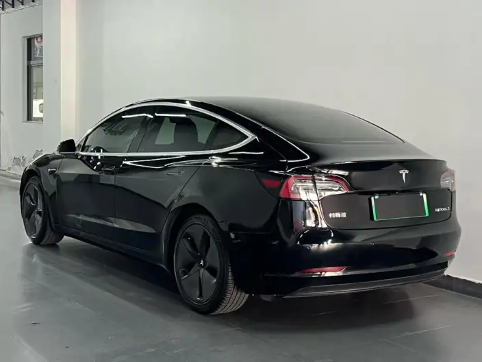 Model 3 2020 Model Standard Battery Life Rear Drive L Class Edition – фото 3