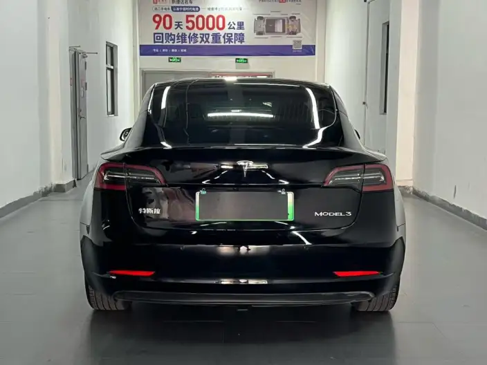 Model 3 2020 Model Standard Battery Life Rear Drive L Class Edition – фото 4