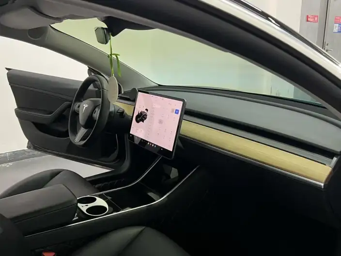 Model 3 2020 Model Standard Battery Life Rear Drive L Class Edition – фото 7