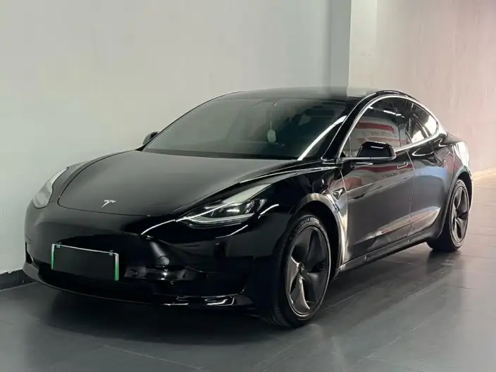 Model 3 2020 Model Standard Battery Life Rear Drive L Class Edition – фото 10
