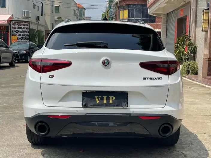 Alfa Romeo Stelvio 2020 Model 2.0T 280HP Deluxe Edition – фото 5