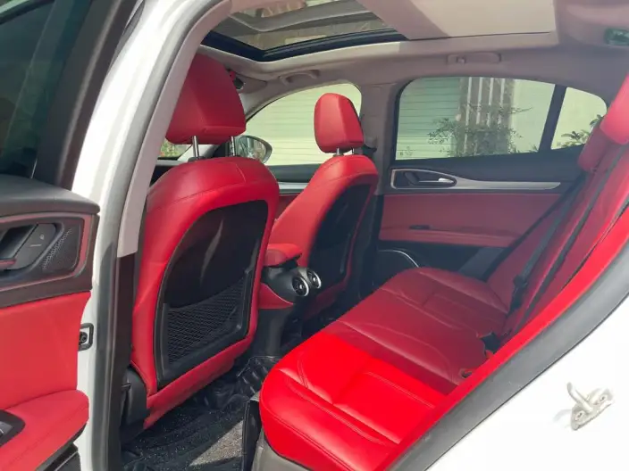 Alfa Romeo Stelvio 2020 Model 2.0T 280HP Deluxe Edition – фото 9