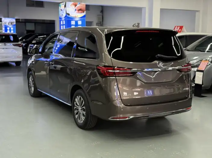 Buick GL8 2023 Model Business class 2.0T Luxury Model – фото 4