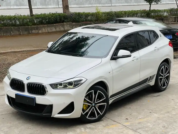 BMW X2 2020 Model sDrive25i Exclusive Model M Sports Set – фото 1