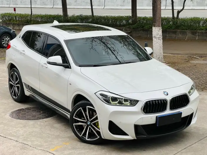 BMW X2 2020 Model sDrive25i Exclusive Model M Sports Set – фото 3