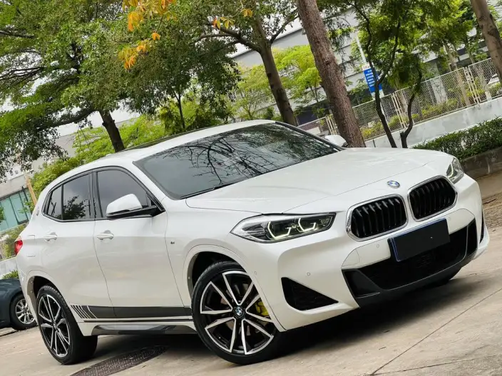 BMW X2 2020 Model sDrive25i Exclusive Model M Sports Set – фото 10