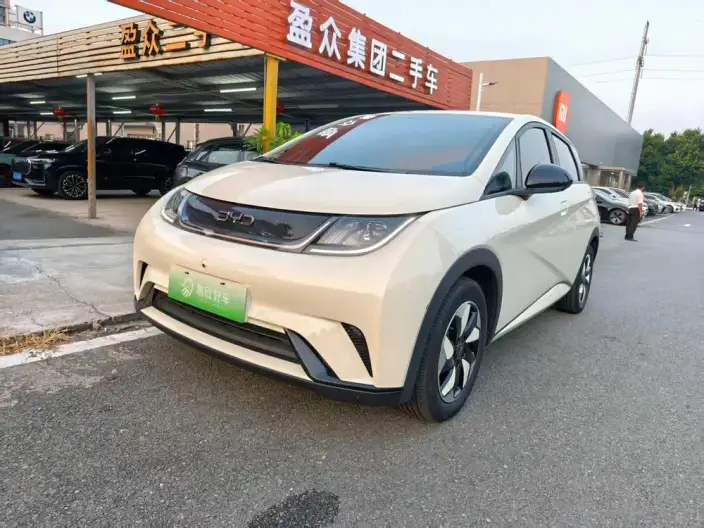 BYD Dolphin 2024 Model Honor Edition 420km Free Edition – фото 1