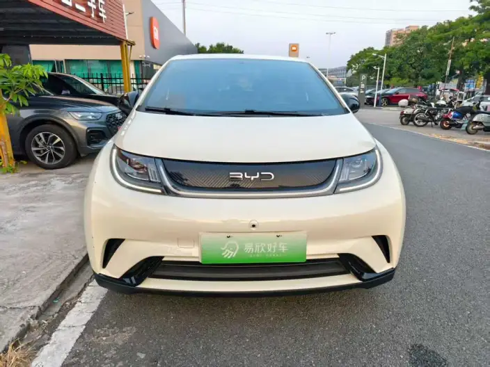BYD Dolphin 2024 Model Honor Edition 420km Free Edition – фото 2