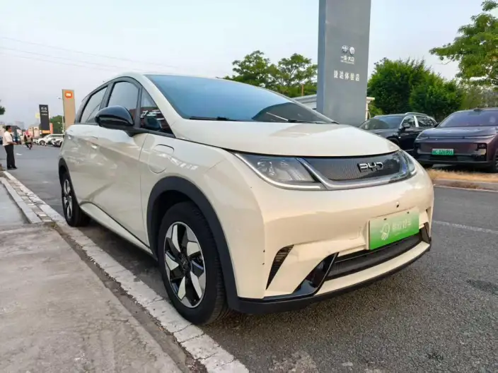 BYD Dolphin 2024 Model Honor Edition 420km Free Edition – фото 3