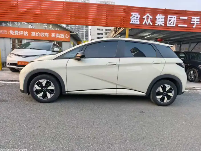 BYD Dolphin 2024 Model Honor Edition 420km Free Edition – фото 4