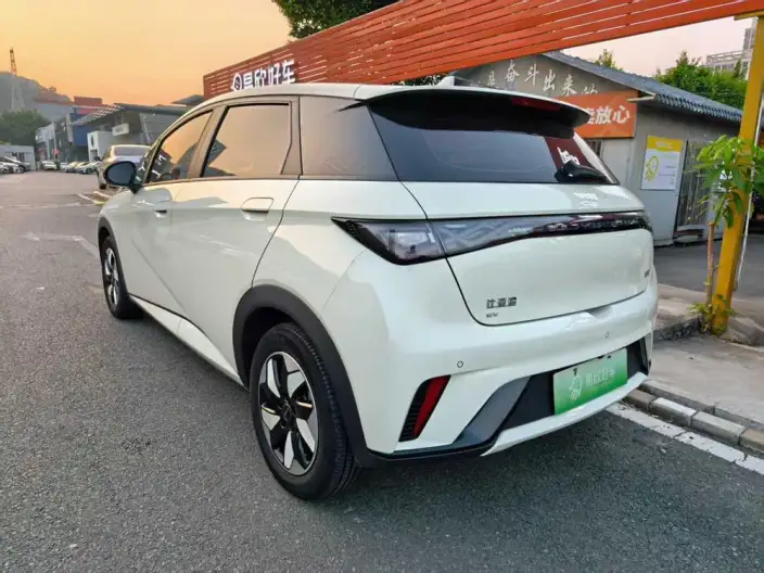 BYD Dolphin 2024 Model Honor Edition 420km Free Edition – фото 5