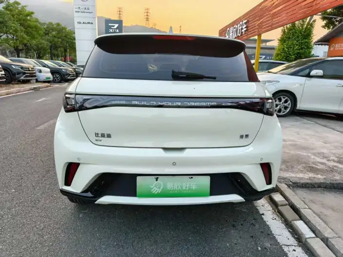 BYD Dolphin 2024 Model Honor Edition 420km Free Edition – фото 6