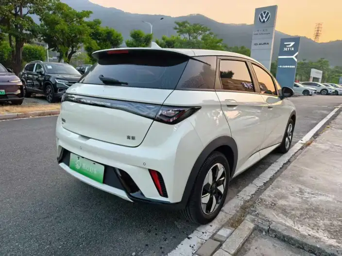 BYD Dolphin 2024 Model Honor Edition 420km Free Edition – фото 7
