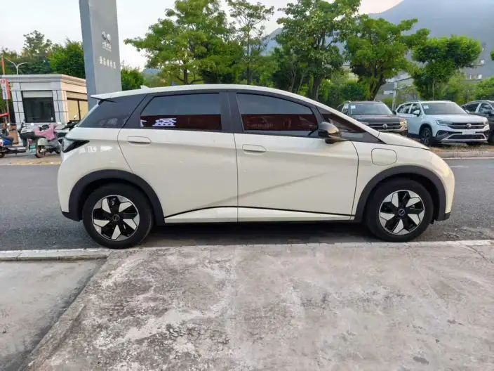 BYD Dolphin 2024 Model Honor Edition 420km Free Edition – фото 8