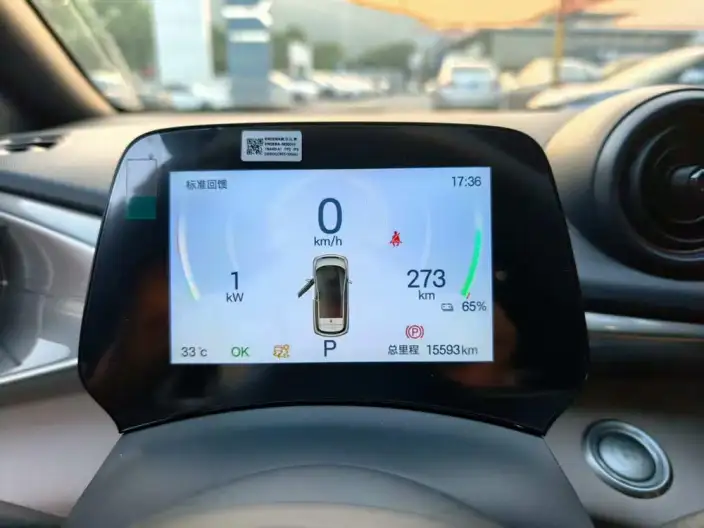 BYD Dolphin 2024 Model Honor Edition 420km Free Edition – фото 10