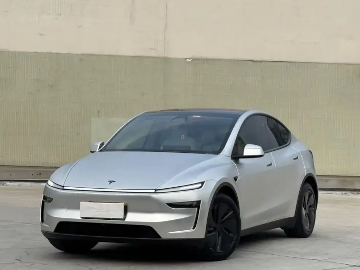 Model Y 2025 Model Rear-wheel drive version – фото 1